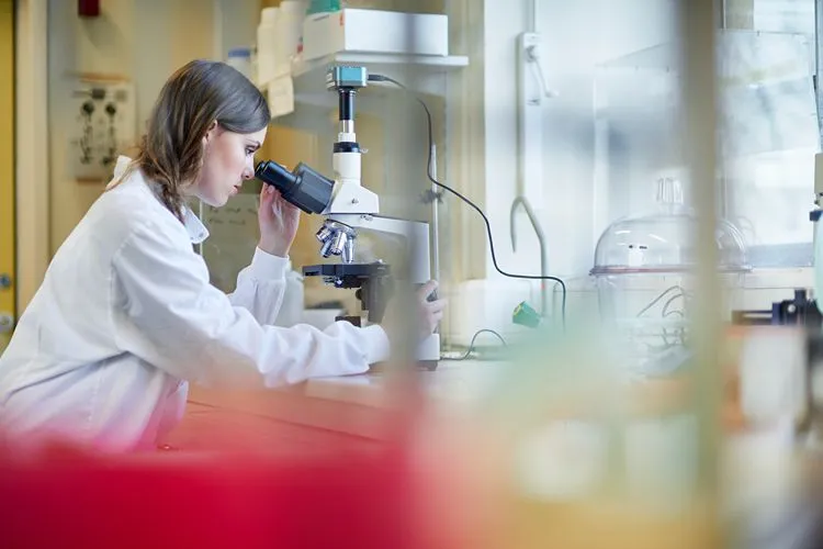 Scientist examining microbiome samples — Metagenics Akkermansia is developed by the same Belgian research group behind the key human clinical trials